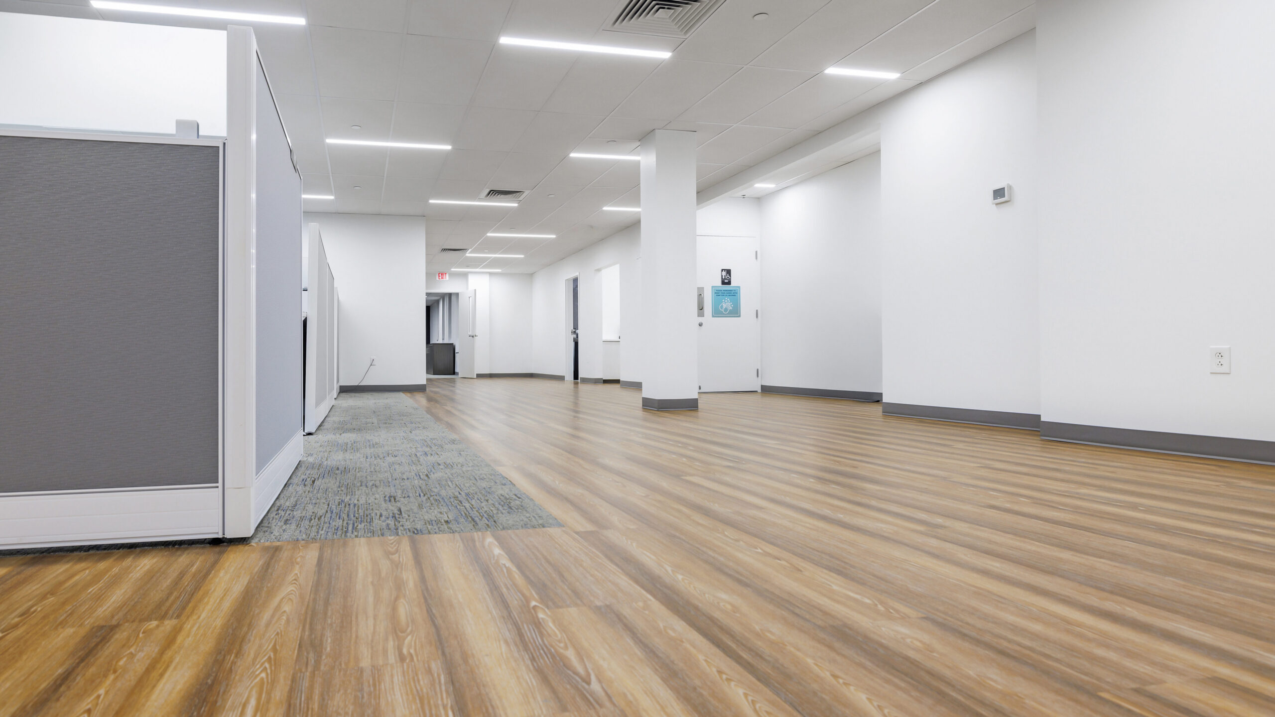 bright open area with cubicles, wood flooring, white walls and slim modern overhead lighting